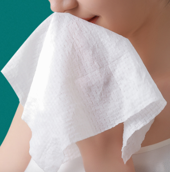 Disposable Dry Towel (2)